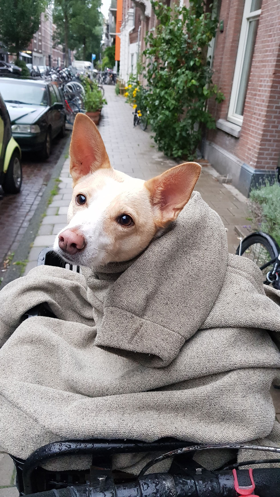 Yes you can have my jumper
