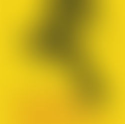 Sobre “Fiebre de carnaval” de Yuliana Ortiz Ruano