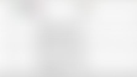 Presentaciones de investigaciones de grado 11º