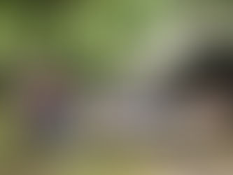 Be a Vendor at the Puckaway Pigfest Pop-Up Market – September 6th