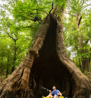 Deep South USA - Louisiana Natur und Kultur erleben 