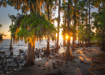 Deep South USA - Louisiana Natur und Kultur erleben 