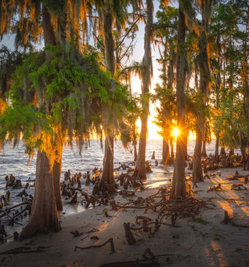 Deep South USA - Louisiana Natur und Kultur erleben 