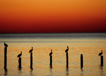 Deep South USA - Mississippi Natur und Kultur erleben 
