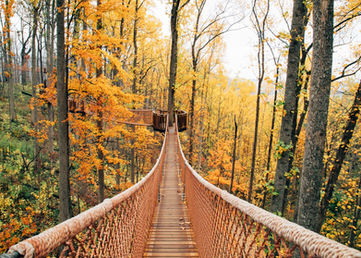 Deep South USA - Tennessee Natur und Kultur erleben 