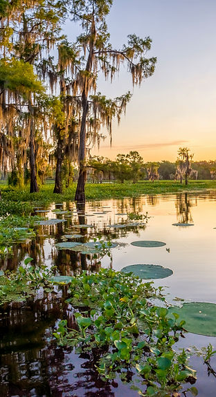 Deep South USA - Reise Alabama-Mississippi-Louisiana-Tennessee-Rundreise-Reisetipps