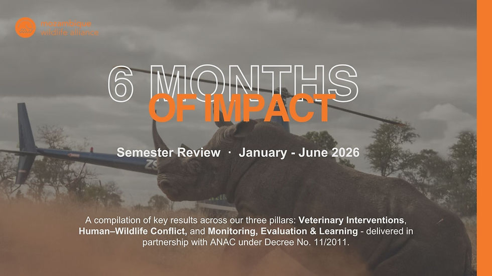 6 Months Of Impact