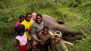 Edu: Collar Replacement and Monitoring