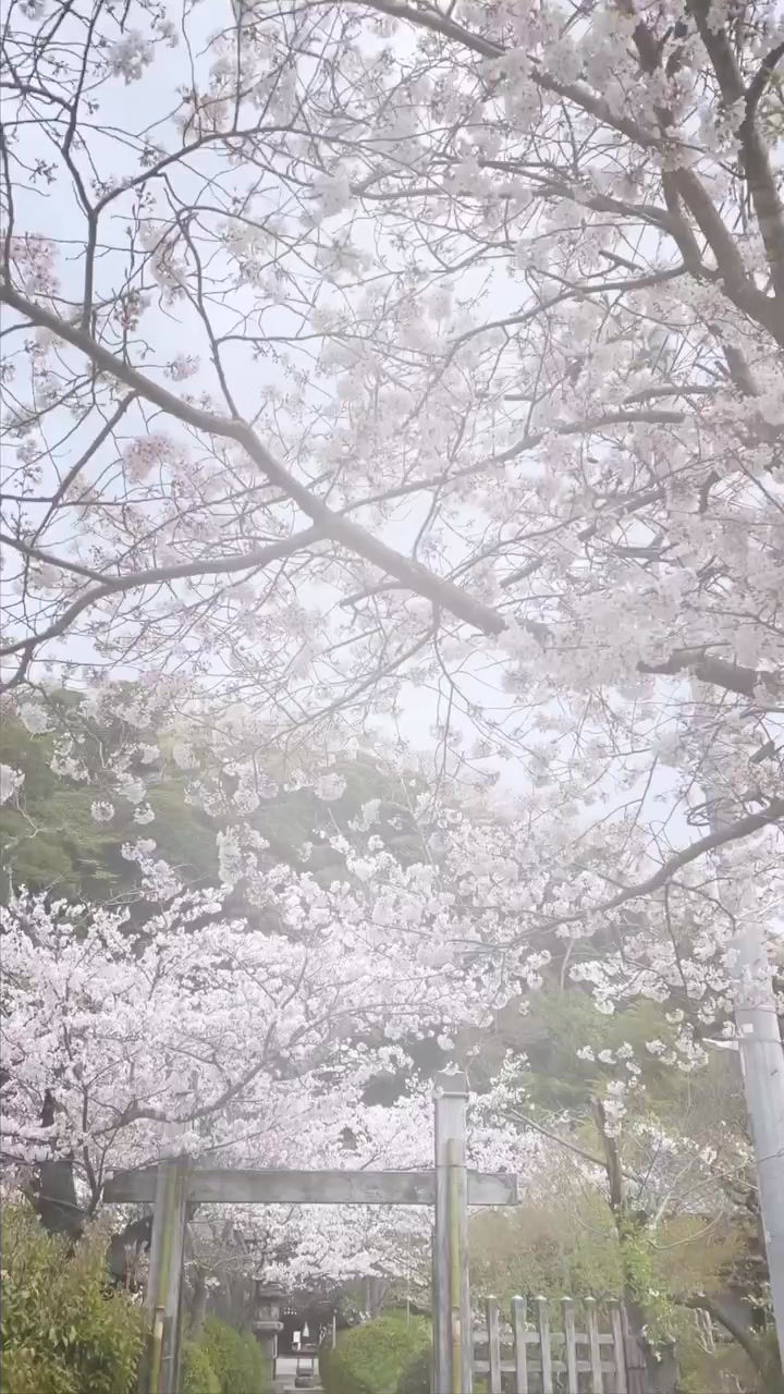 サムネイル： Kamakura 33 Kannon No.9