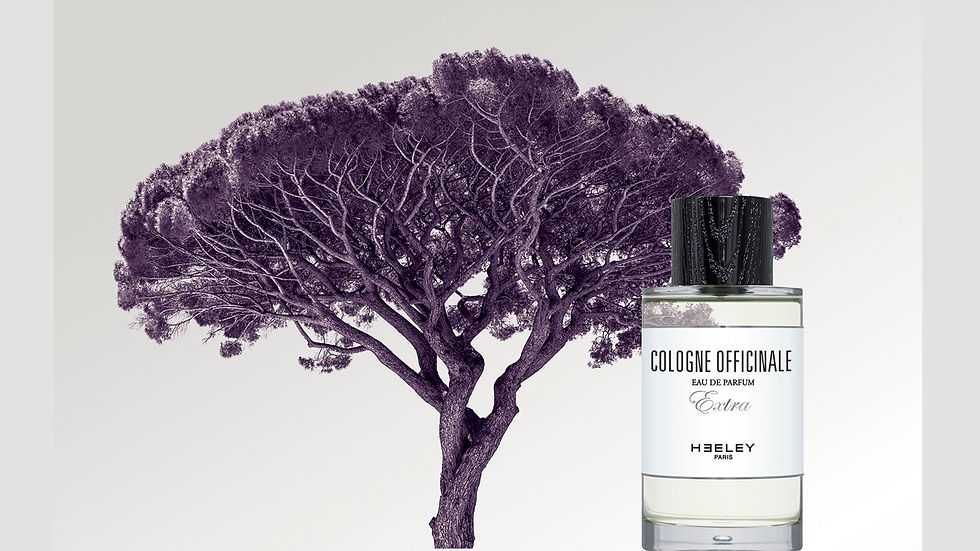 cologne-officinale-heeley-parfums.jpg