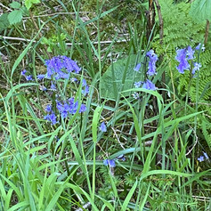 IMG_5404.jpeg