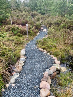 NEW TRAIL 2.jpeg