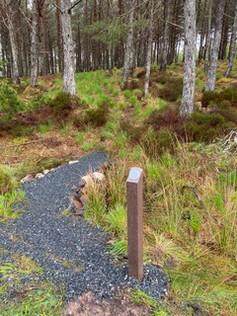 NEW TRAIL 1.jpeg