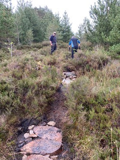 NEW TRAIL 5.jpeg