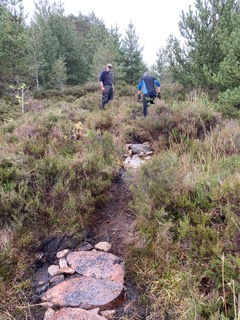 NEW TRAIL 5.jpeg