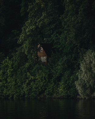 House in the Woods_edited.jpg