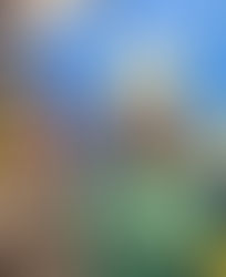 Auf der Frankfurter Buchmesse.