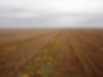 Hand County SD Land Auction