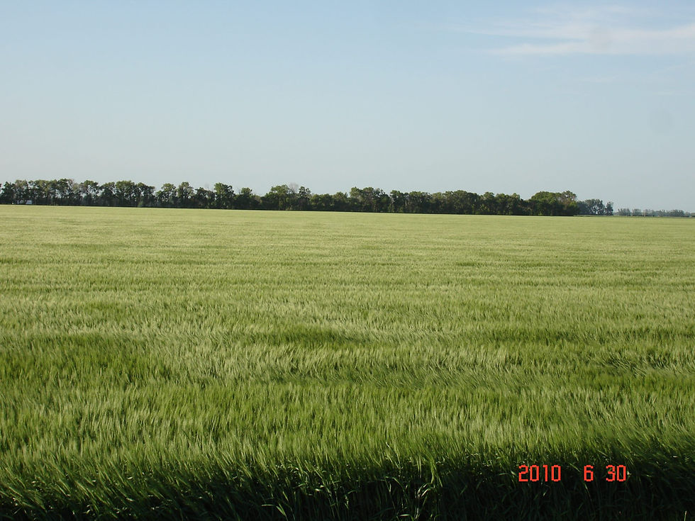 South Dakota Land Auctions