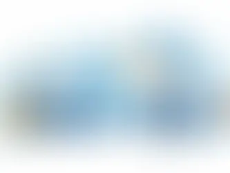 ROI und Conversions lernen und richtig messen