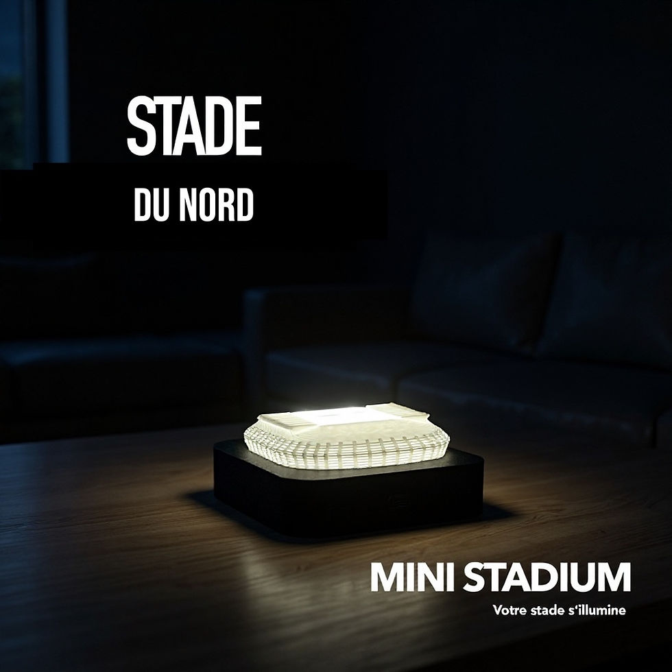 MINI STADIUM – Stade du Nord