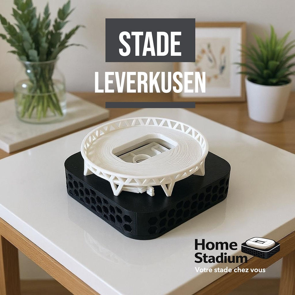 Miniature : Maquette de stade à Leverkusen (BayArena) – Miniature décorative