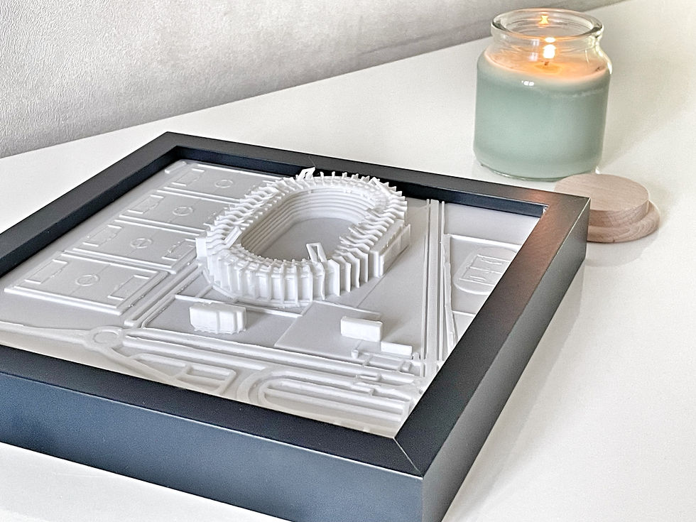 Miniatura: Stade de Toulouse