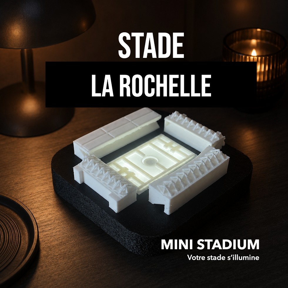 Miniatura: Maquette de stade à La Rochelle (Stade Marcel-Deflandre) – Miniature décorative