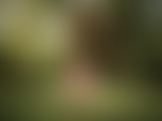 little girl walking towards a treehouse