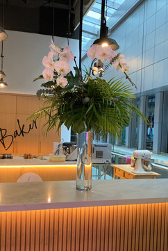 Baker X @ Orchard Central