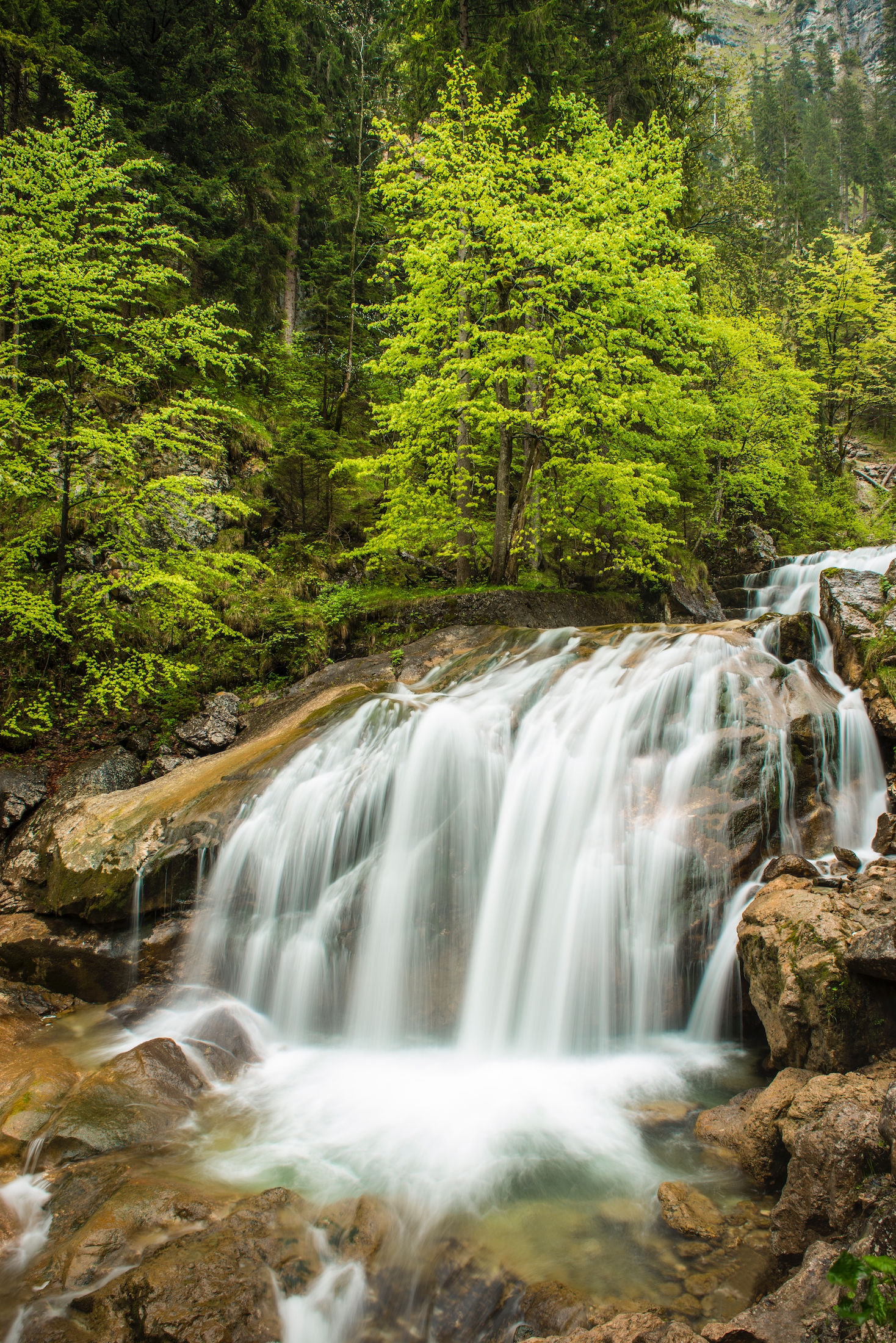 Neuschwanstein Waterfall