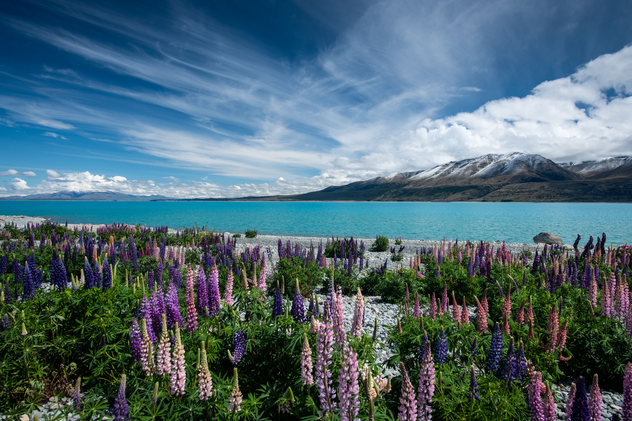 Adam Crews Imagery, Adam Crews, Adam Crews Photography, New Zealand, Mountains, Clouds, Lupins, Lake Pukaki, snow