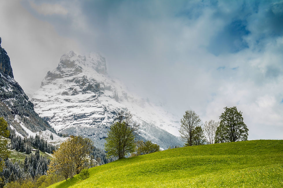 Adam Crews Imagery, Adam Crews, Adam Crews Photography, Snow Cap, Green Hills, Mountains, Grindelwald, Switzerland, Europe