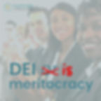 DEI *is* meritocracy.