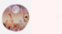 Copy of Untitled Design (9).png