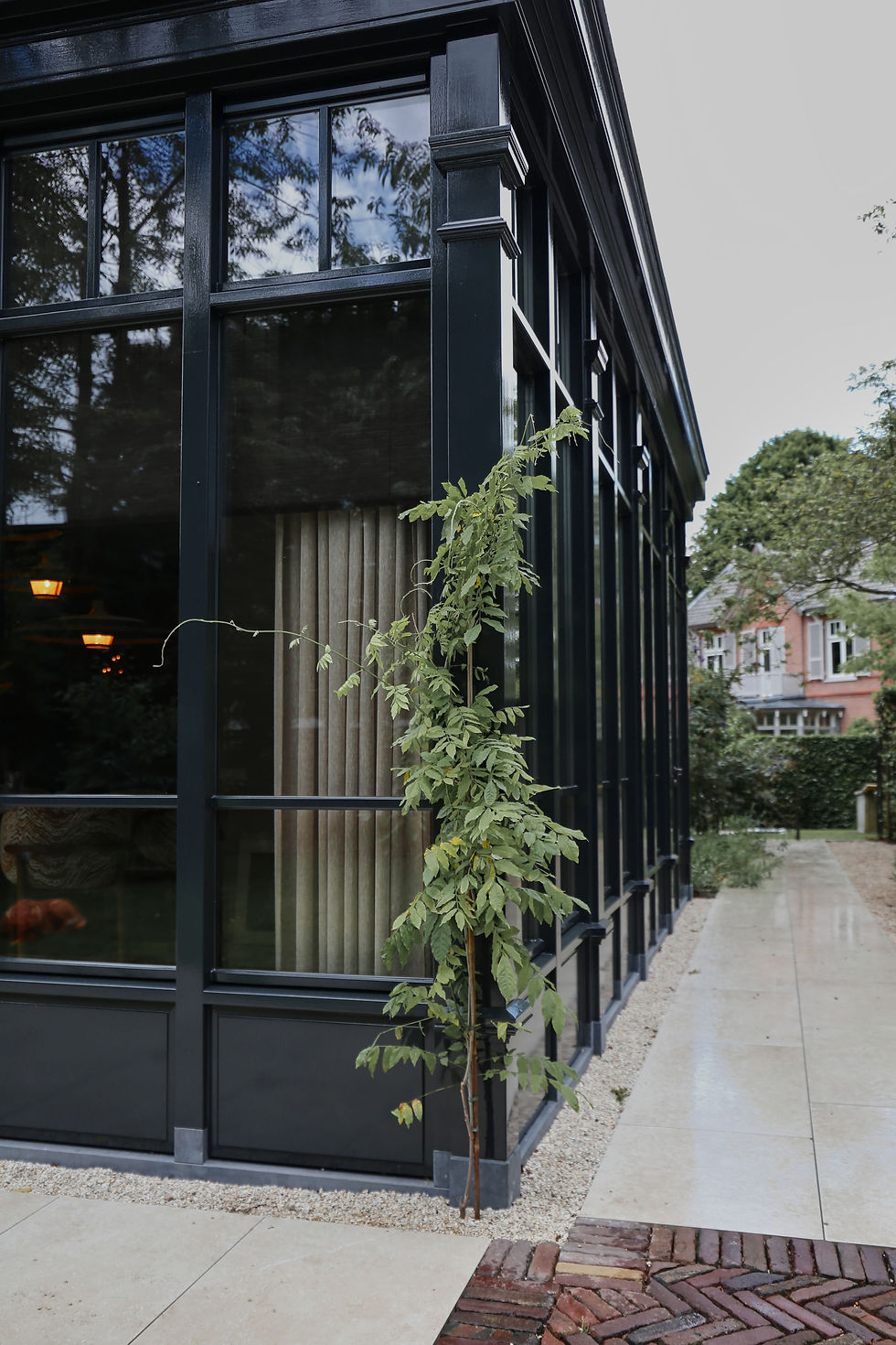 Zwarte gevel van modern huis met grote ramen, groene plant en tuin.