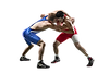 Wrestling 1