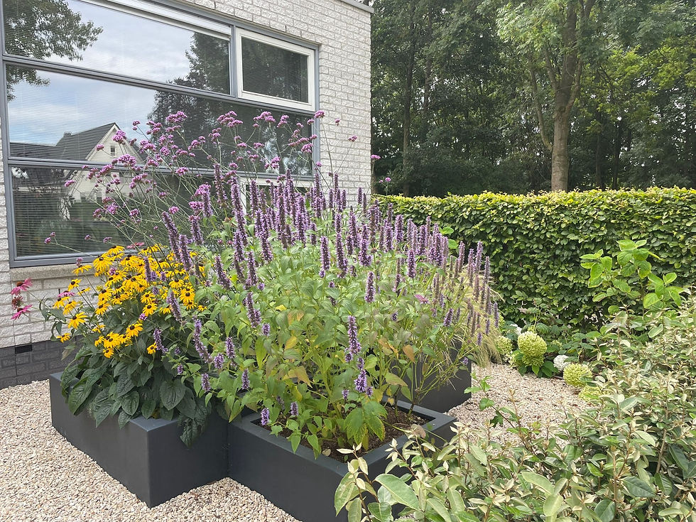 Amstelveen voortuin 1.jpg