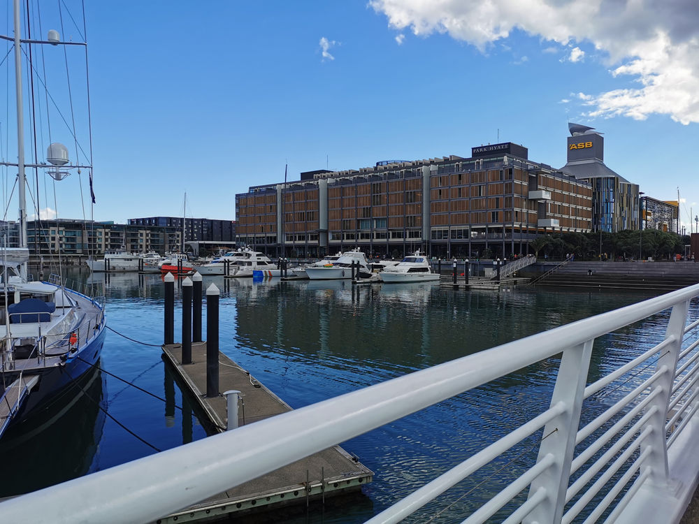 Auckland Wharf Nature NZ