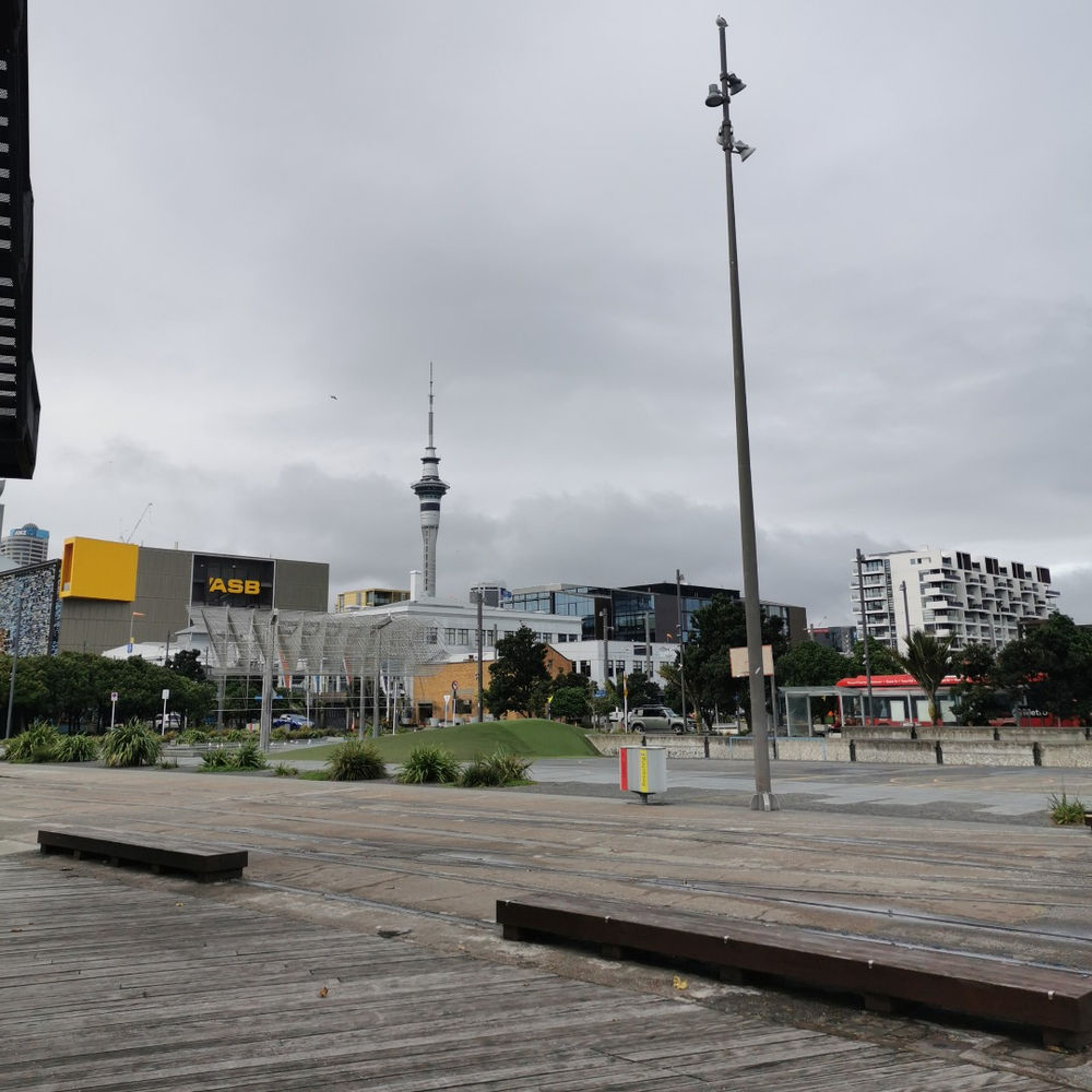 Auckland Wharf Nature NZ
