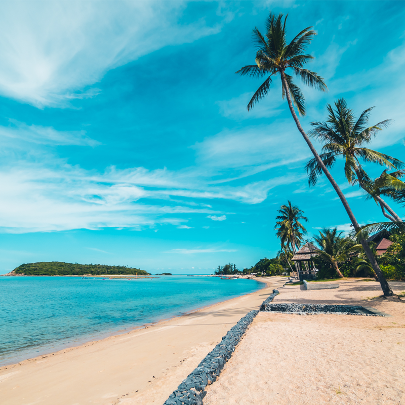 Miniatura: Viagem ao Caribe