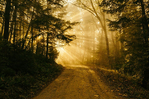 patrick-fore-74TufExdP3Y-unsplash_edited.jpg