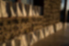 Lanterns on the Trail 2026-63.jpg