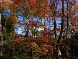 そうゆうものですよね。