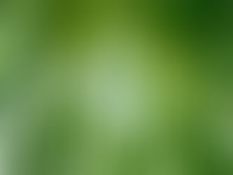 竹灯籠のお手伝い