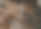 BB GIFT VOUCHER (1).png