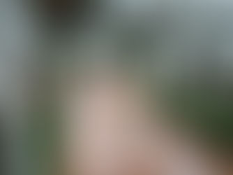 Get Your Free Estimate: Transparency and Convenience with Power Washing And More