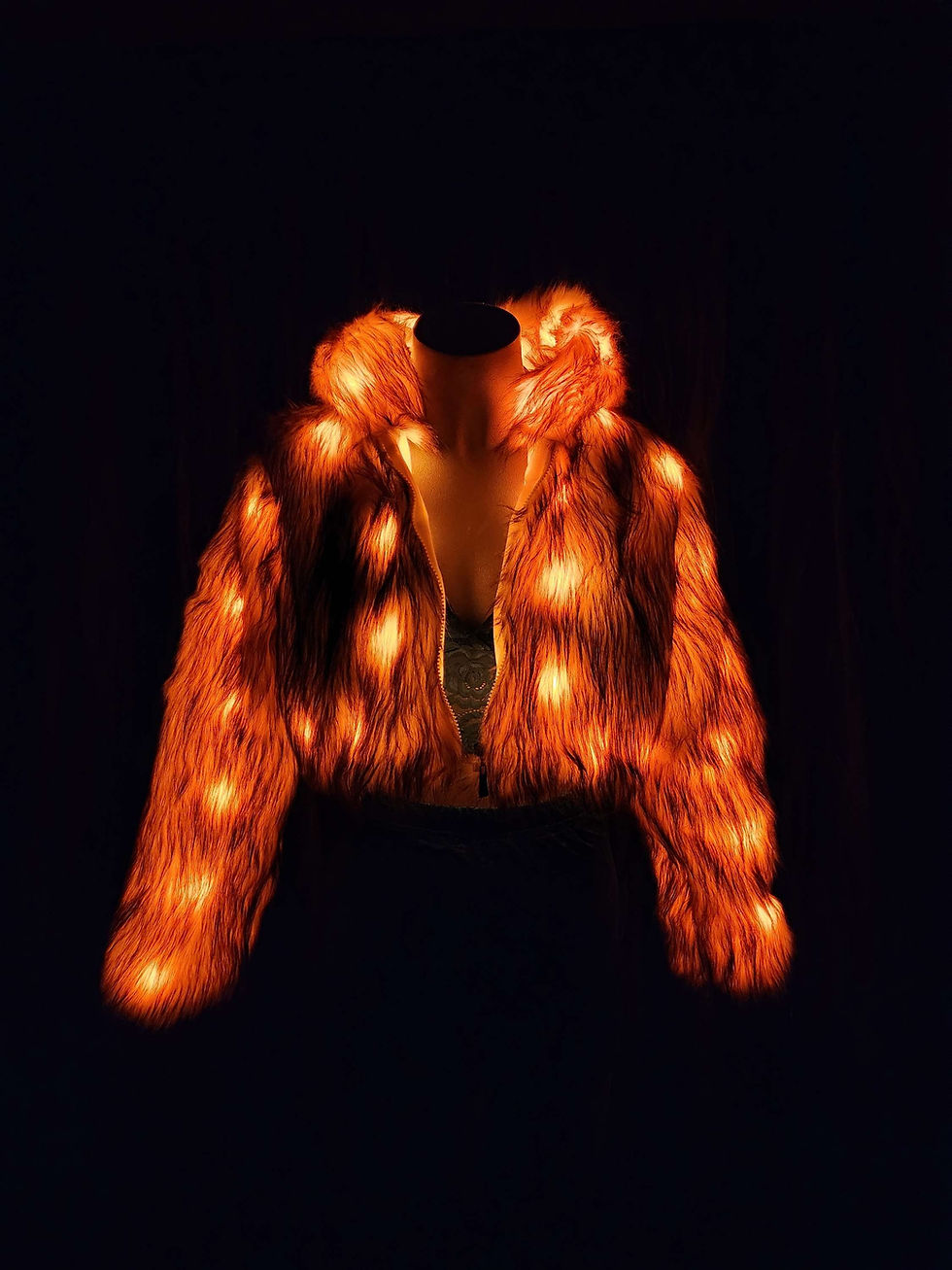 Thumbnail: Electric Violet LED Jacket