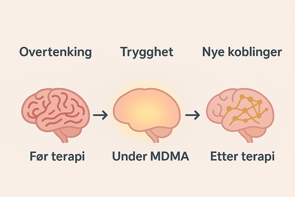 Hva skjer egentlig i hjernen etter MDMA-terapi?