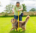 advanced dog.jpeg